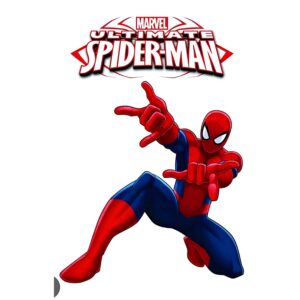 Spider Man Heat Transfer Patch