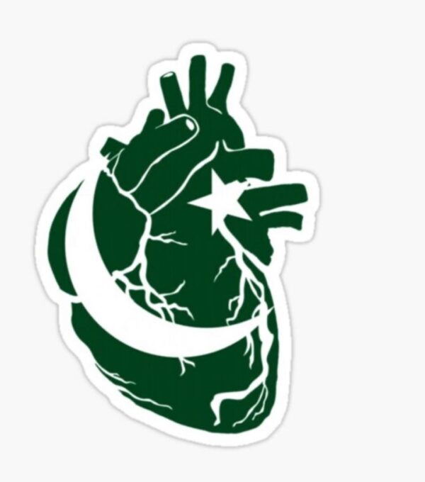 Heat Transfer Heart Patch