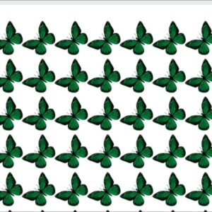 Heat Transfer Betterfly Strip for 14 August