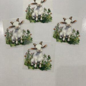 Eid Ul Adha Heat Transfer Patch